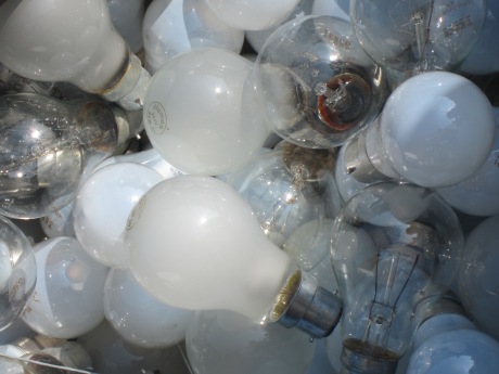 Light Bulbs by Sian Tomlinson